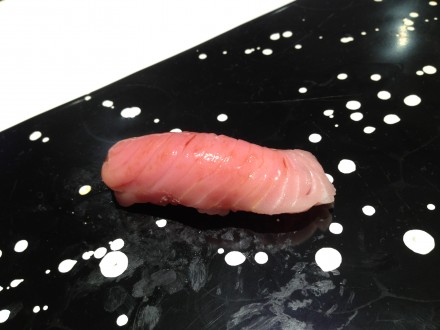 Tuna Belly (Toro)